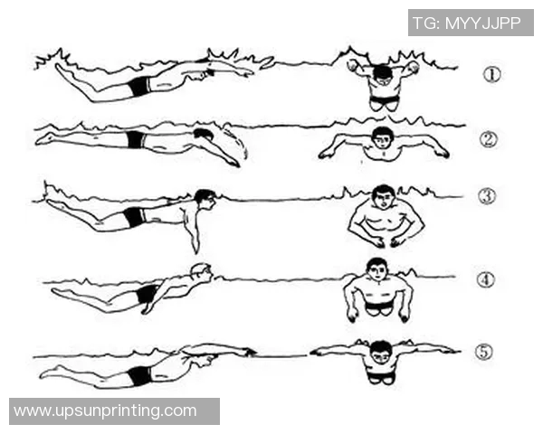 蛙泳技巧与训练方法探索提升游泳表现的关键步骤